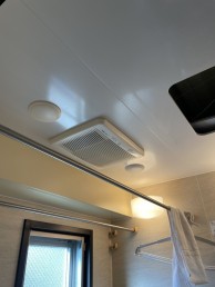 IMG_9050-e1741996313136